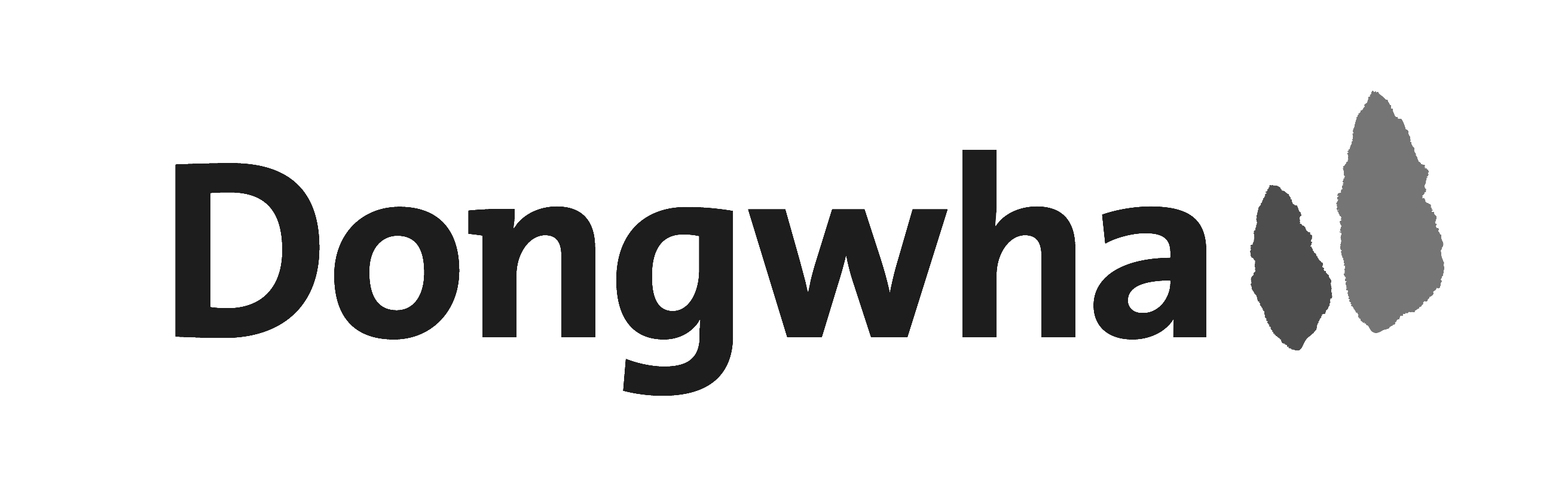 Donghwa logo